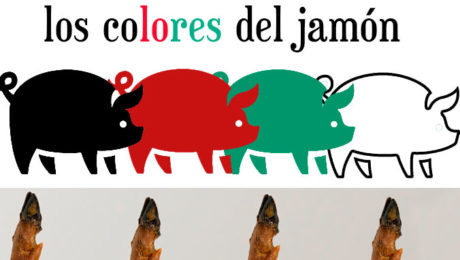 etiquetas de colores del jamón ibérico
